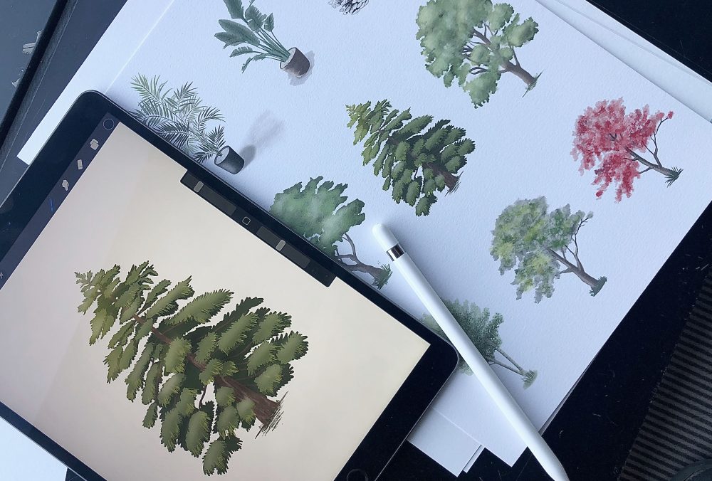 Procreate Illustration Plants Botanical