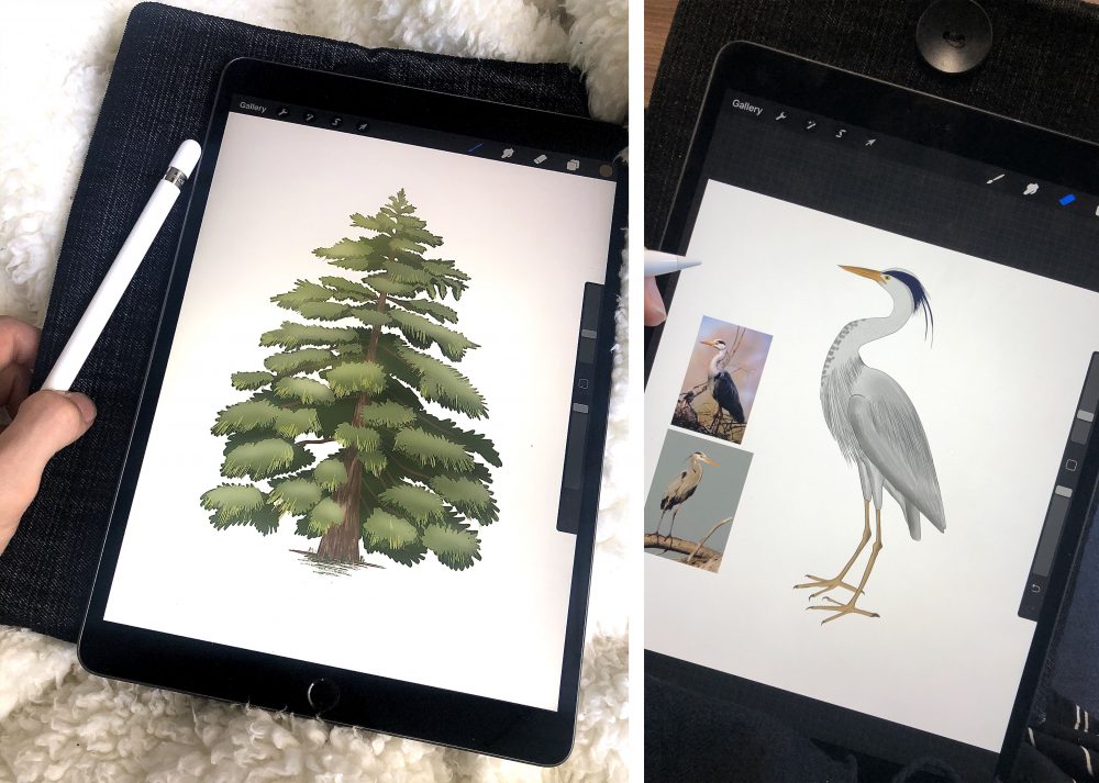 Digital Drawing with Procreate