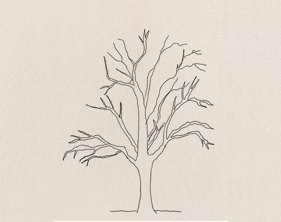 Trees Drawing Tutorials