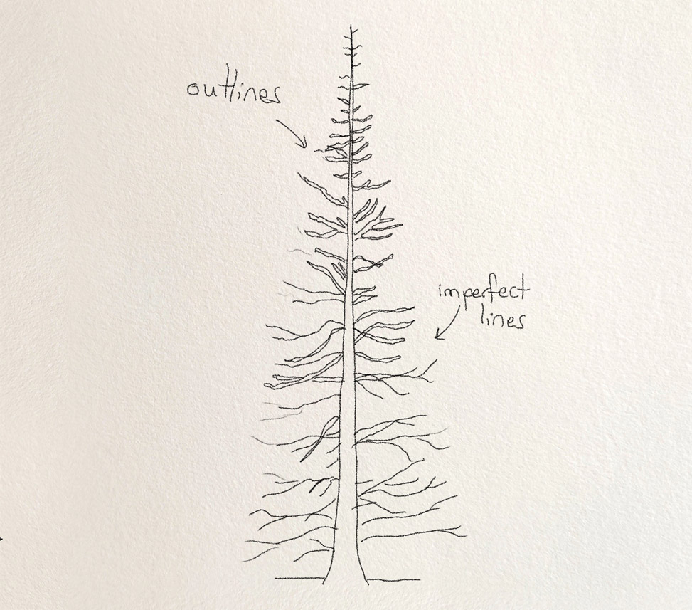 Trees Drawing Tutorials