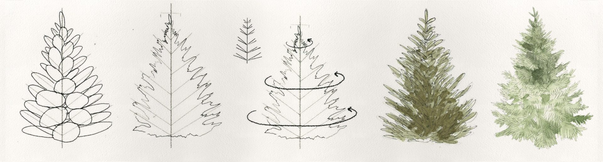 Trees Drawing Tutorials