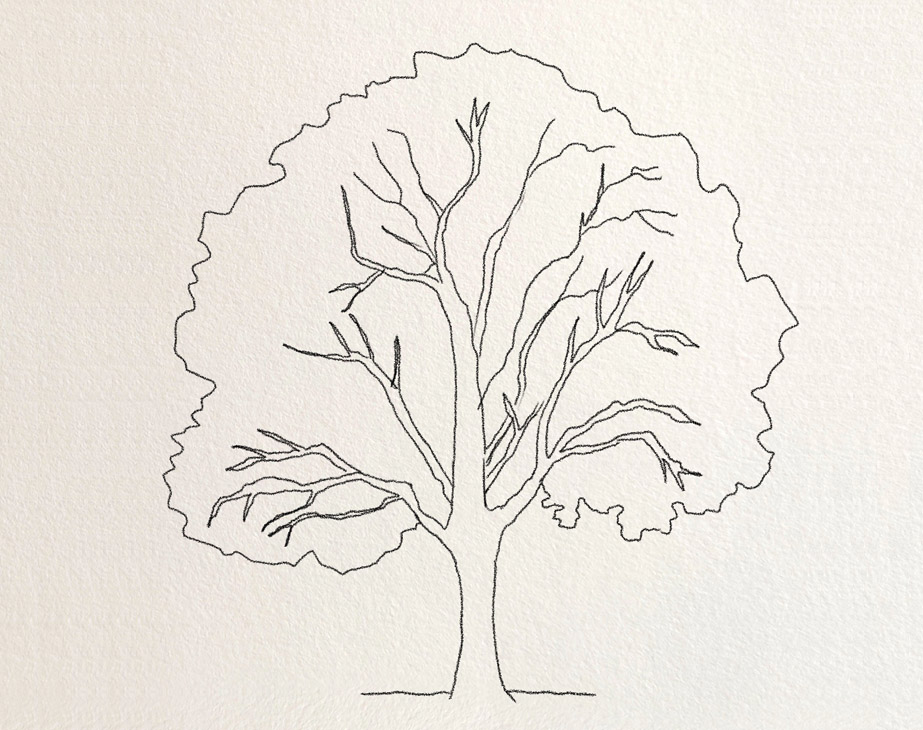 Trees Drawing Tutorials
