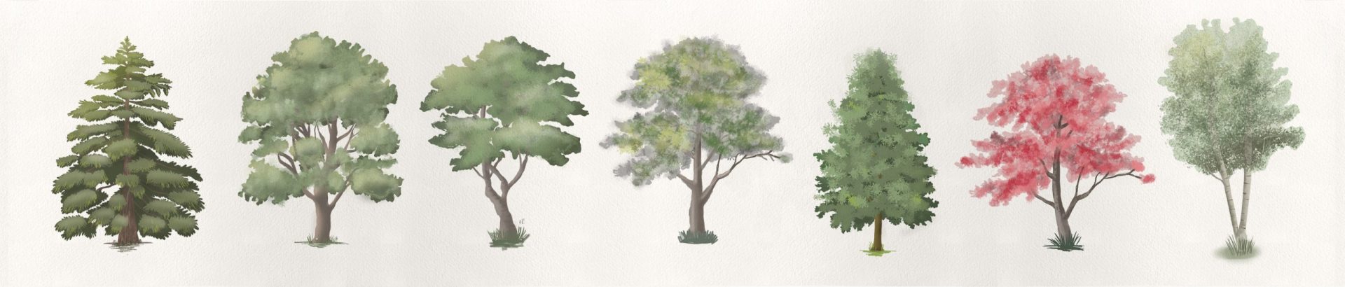 Trees Drawing Tutorials
