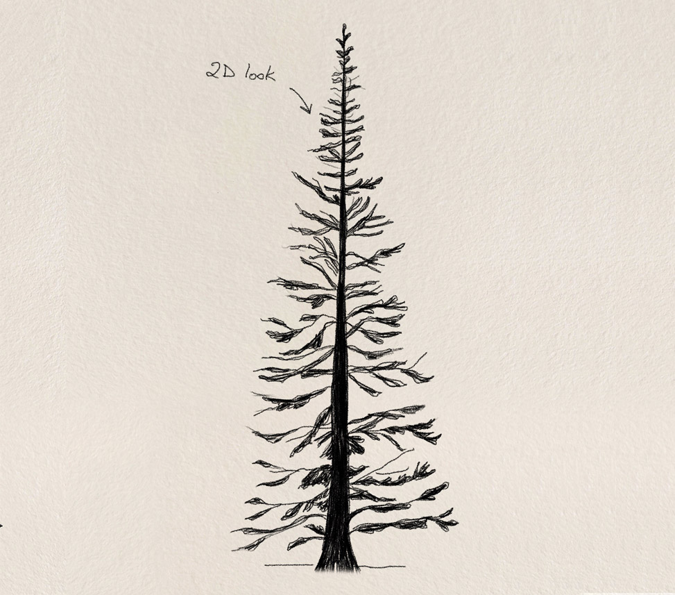 Trees Drawing Tutorials