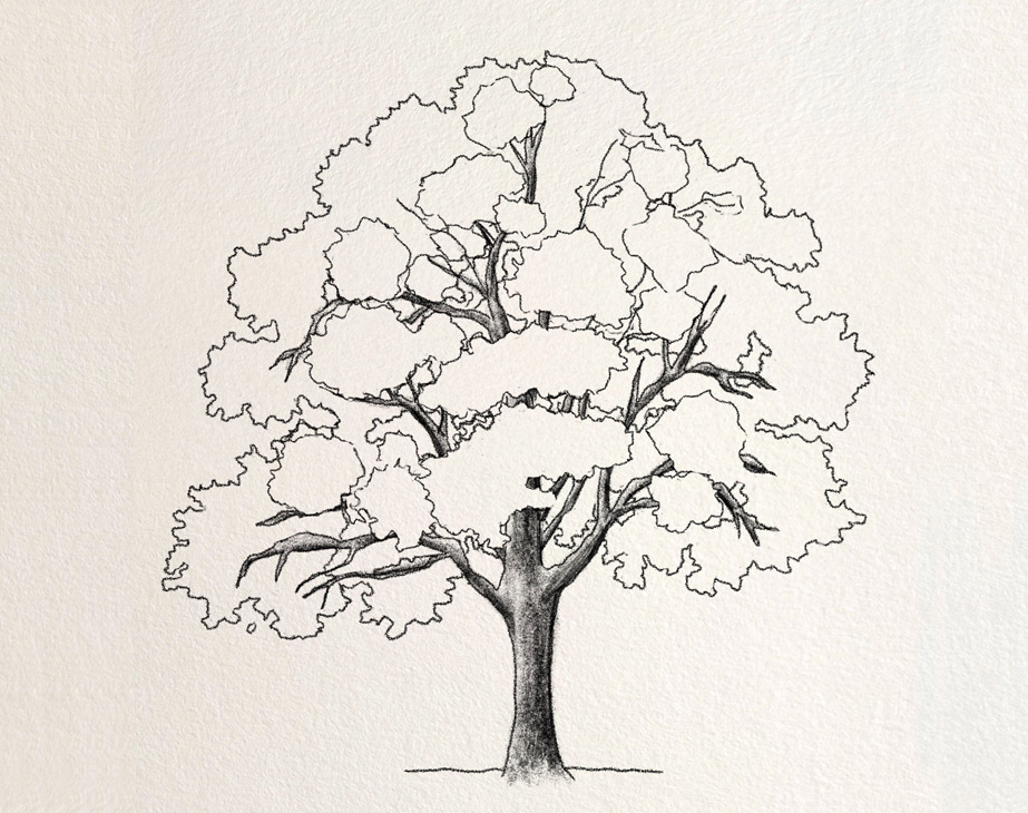 Trees Drawing Tutorials