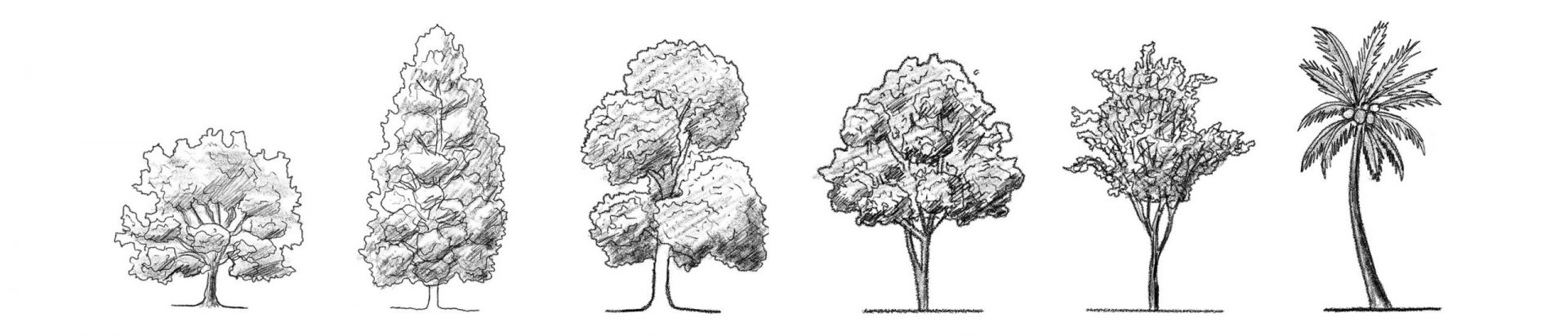 Trees Drawing Tutorials