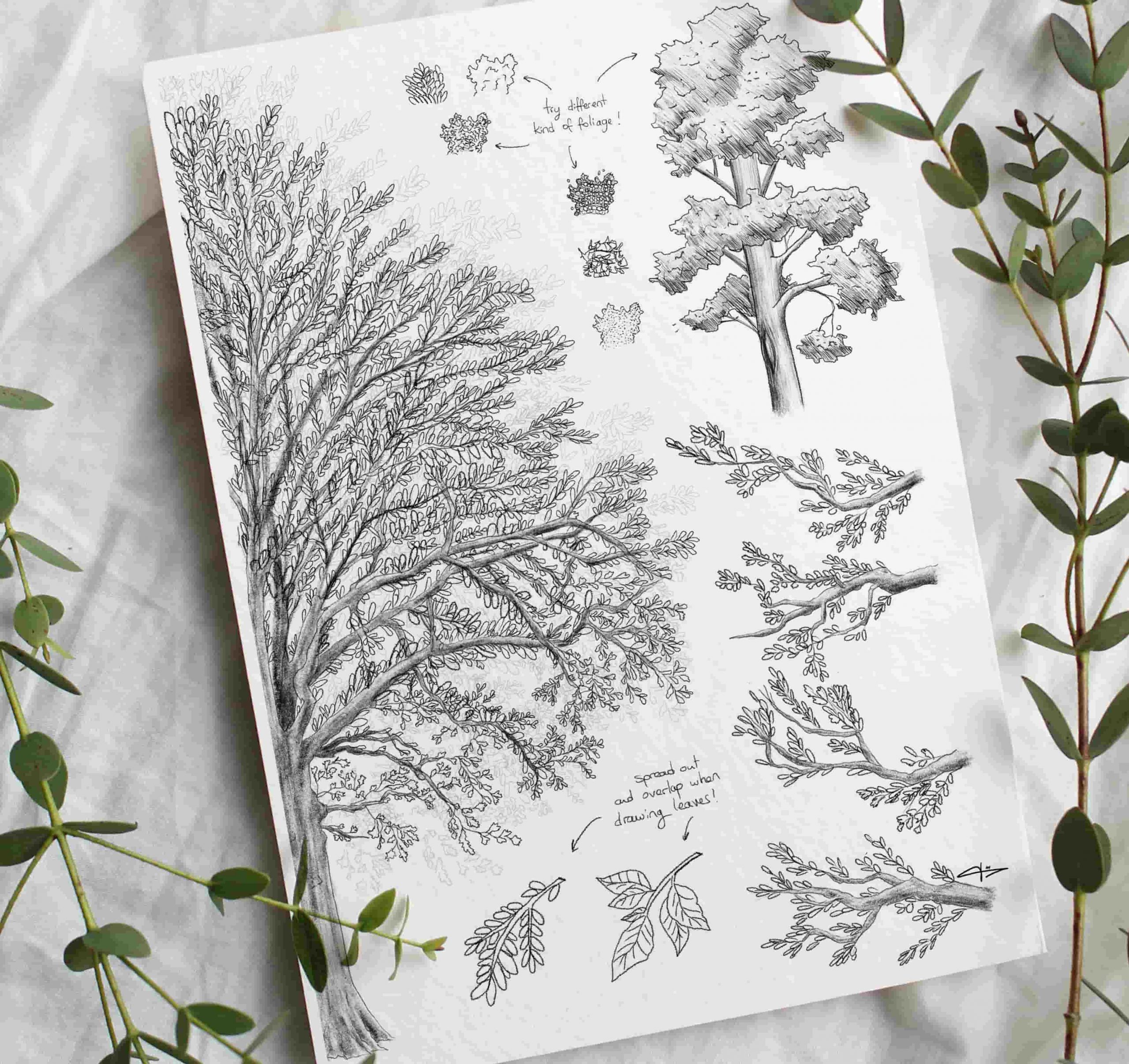 Trees Sketches Printable Art
